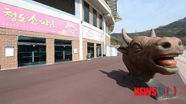 굳게 닫힌 청도소싸움장