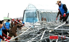 안행부 강릉서 폭설 피해 복구 동참