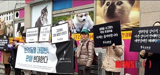 동물보호단체 KARA, 대전 애견경마장 폐쇄 촉구