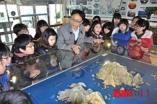 방어진초에 설치된 독도 모형물