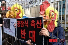 공장식 축산 이제 그만