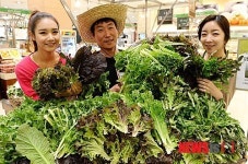 우리농산물구경상도야채 | 신선한 야채를 당일에 먹어요~