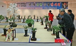 한국춘란 전시회