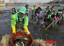 중랑천을 깨끗히