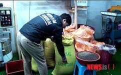 가짜 국산 들기름 초·중·고 33곳에 유통 충격