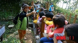 용산구, 응봉공원 유아숲체험장 개장