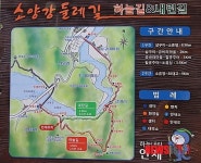 인제군, 소양강 둘레길 테마숲 조성