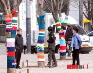 옷 입은 느티나무