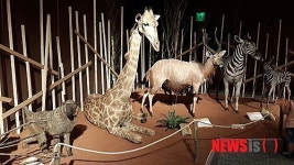 [공직자 재산등록]기린박제부터 미인도까지…의원들 이색 재산 눈길