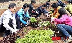 대전유성구, 도시텃밭농장 개장