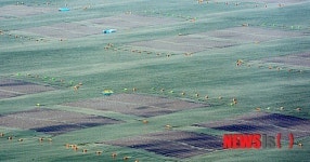 부산 앞바다 김 양식장 전경