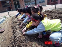 진주 문산초 병설유치원 씨앗 심기