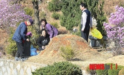 봄과 함께하는 한식