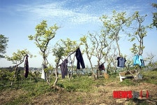 김사라 사진가, 전라남도 신안군 압해읍 복룡리