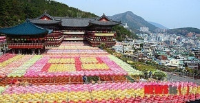 삼광사 화려한 연등