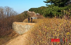 [뉴시스 앵글]봄 내음 가득한 청주 상당산성