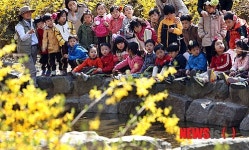 대전동구, 숲체험교육 인기