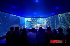 아쿠아플라넷 여수 4D 영상관