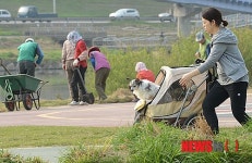 개유모차 타고 봄 나들이 나선 견공