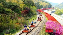 곡성 섬진강기차마을 한국 관광의 별 최종후보