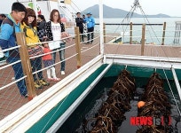 해조류 체험장 둘러보는 관람객