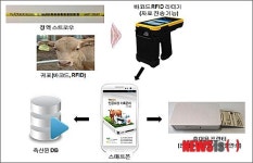 농진청, 한우 인공수정 기록관리 시스템 개발