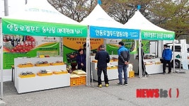 월영부전향토마을사업회 | 안동시, 월영교에 로컬푸드 직거래 장터 개장