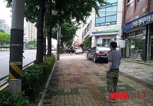 가로수 환경 확 달라진다