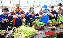 춘광사사진만들기 | 영월사랑-시니어사진신문 만들기 사진촬영 현장학습