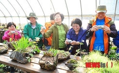 야생화 촬영이 즐거운 시니어사진신문 만들기 교육생들