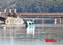 군산 명품 관광지 은파호수공원에 카누계류장 설치