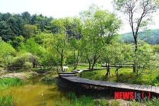 포천 평강식물원 5월 한달 특별한 꽃잔치 고산식물전