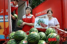시원한 여름 제철 과일 집으로 바로 배송