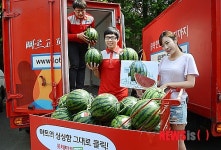 시원한 여름 제철 과일 집으로 바로 배송