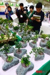 2014 대한민국 조경박람회