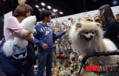 코리아 펫 쇼 찾은 관람객들