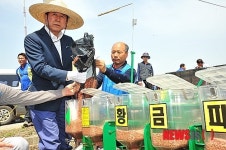 최원병 농협회장 벼 직파 시연