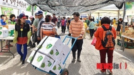 정선곤드레산나물축제, 주말 10만 인파 북적