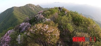 대봉산의 아침