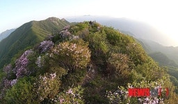 대봉산의 아침