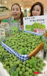 햇 매실 예약 판매합니다