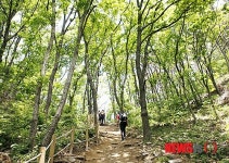 등산객 몰리는 서산 황금산