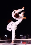무주반딧불축제 태권도 시범