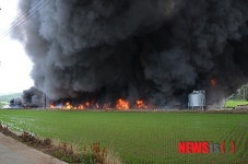상주서 닭사육장 불…병아리 3만5000여 마리 소사