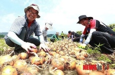 사회복지법인완산원(신성양로원) | 신성범 의원 봉사활동