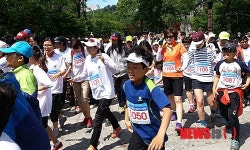 태백 제14회 양대강 발원지달리기 대회 개최