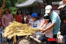 애들 데리고 보리타작하러 오세요, 국립민속박물관으로