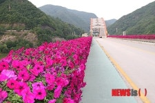 꽃 단장한 단양 고수대교