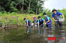 한국암웨이, 채집을 위해
