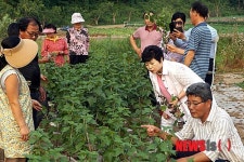 블랙커런트 화분 재배법을 설명하는 김을태씨